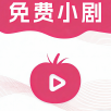 速看100永久免费版